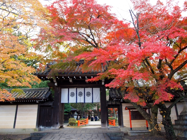 京都・今宮神社と紅葉の風景