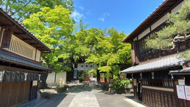 京都・今宮神社参道の散歩風景