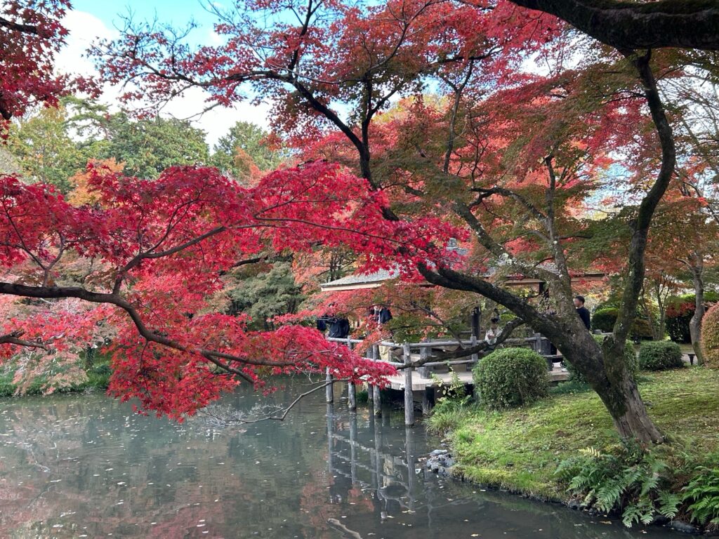 京都府立植物園の池に映る赤い紅葉と東屋の美しい景色
