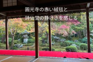 圓光寺の赤い絨毯と紅葉の庭園を縁側から眺める風景