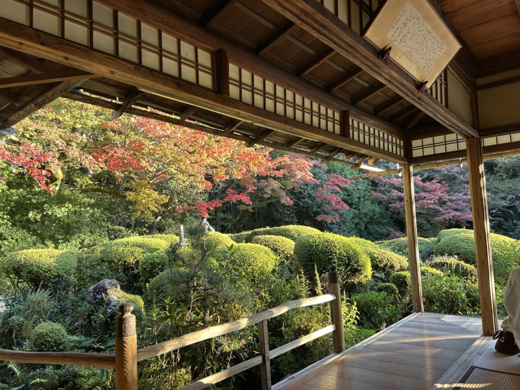 詩仙堂の庭園を建物の中から眺めた紅葉の風景。縁側越しに赤や黄の葉が広がる静かな秋の景色。