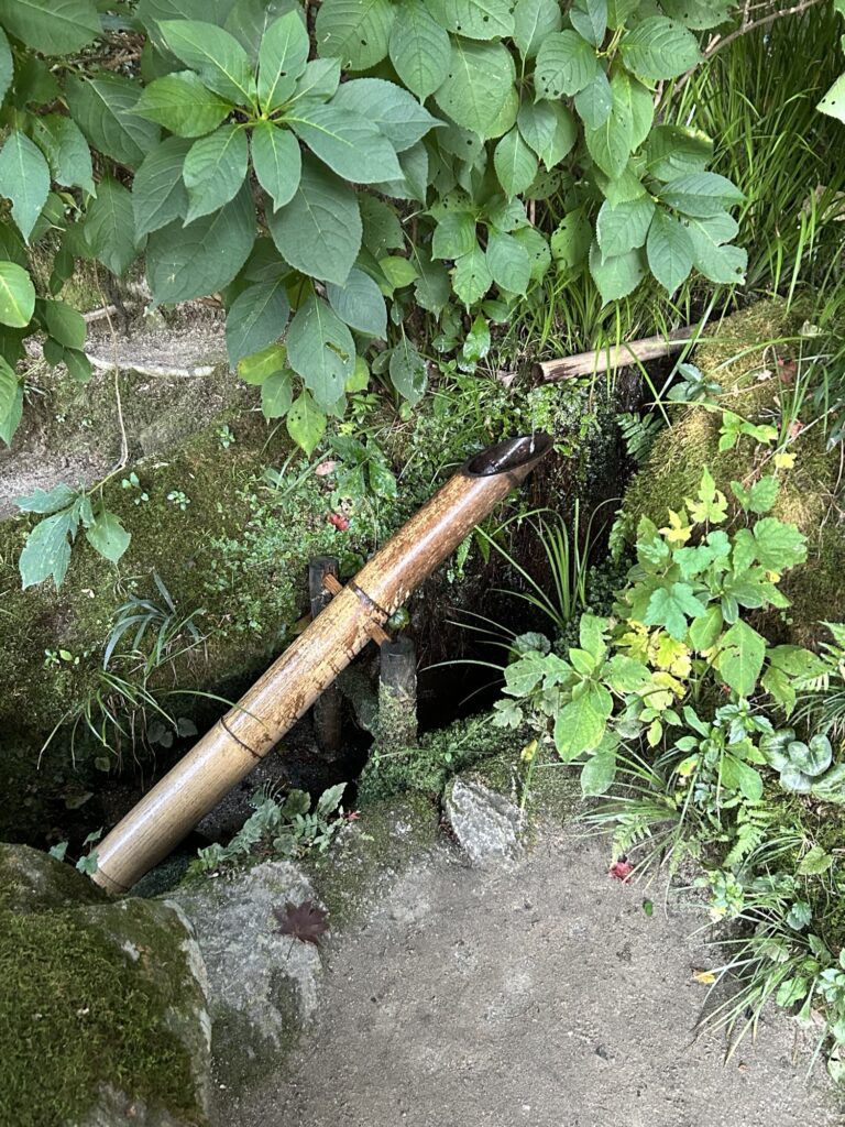 詩仙堂の庭園にある鹿おどし。竹筒が静かに水を落とし、紅葉に包まれた庭の中で“カコン”と響く音を待つ人々の情景。