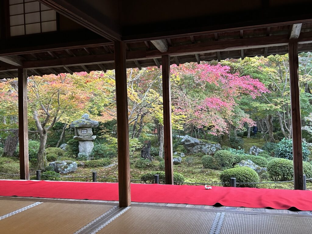 圓光寺の建物から眺める十牛之庭の紅葉。縁側越しに赤いもみじが広がり、落ち着いた雰囲気が漂う秋の庭園風景。