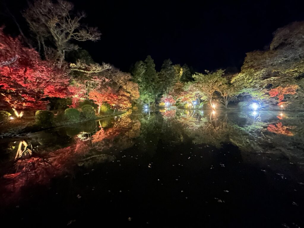 京都府立植物園ライトサイクルで池に映る紅葉とライトアップの美しいリフレクション
