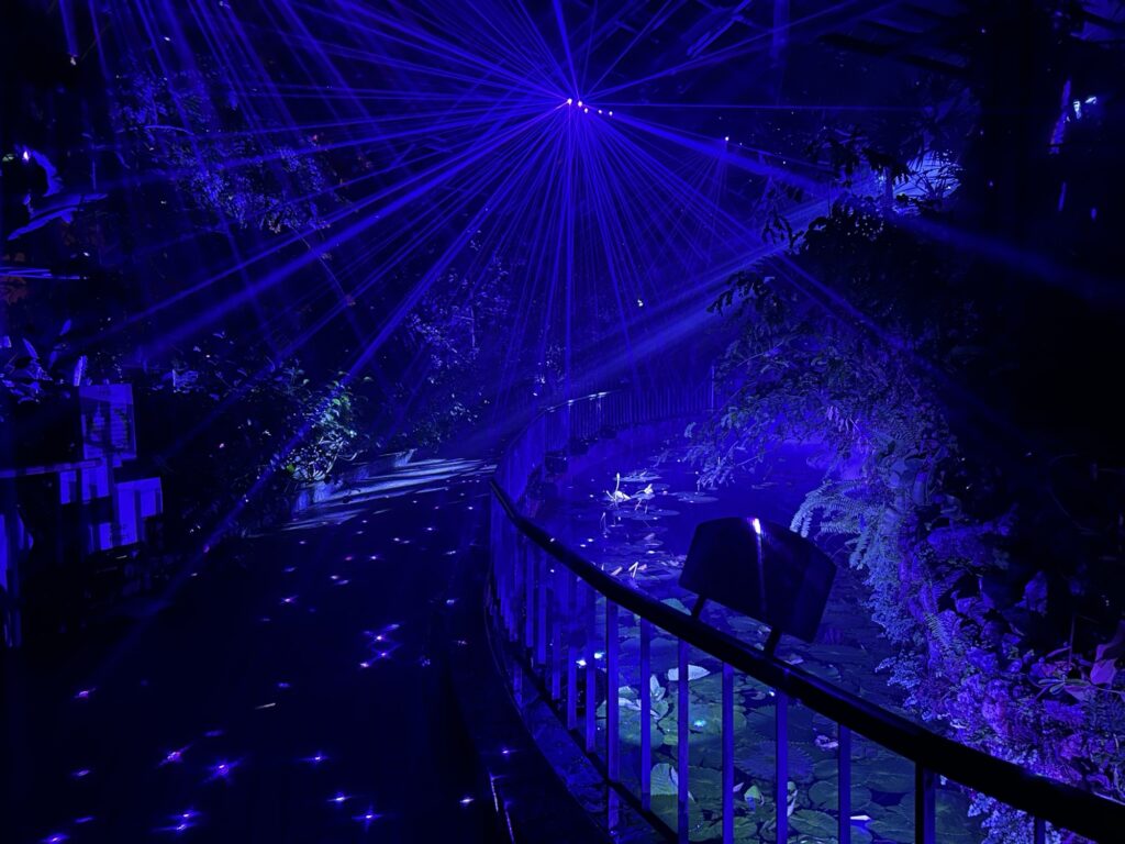 京都府立植物園の温室で行われる光のショー。青いレーザーが植物と水面を照らし、幻想的な雰囲気が広がっている様子。
