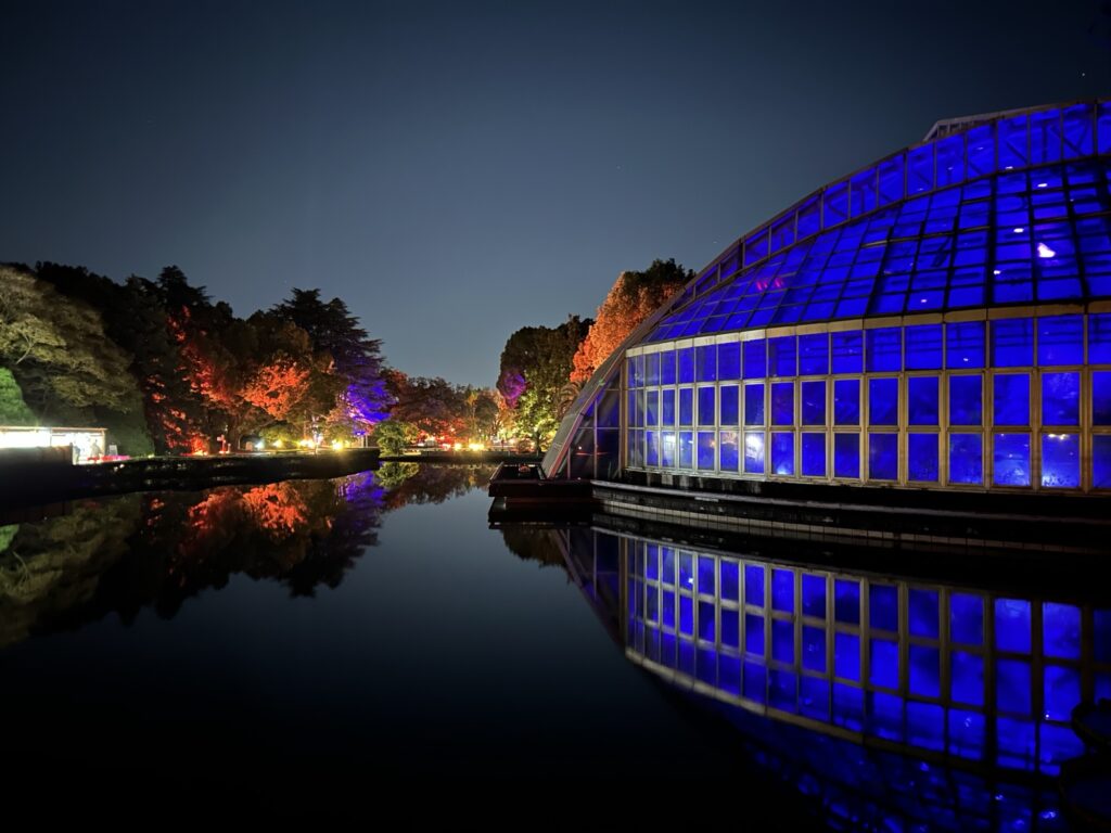 京都府立植物園ライトサイクルでライトアップされた大温室の青いドームと池に映る夜景の反射
